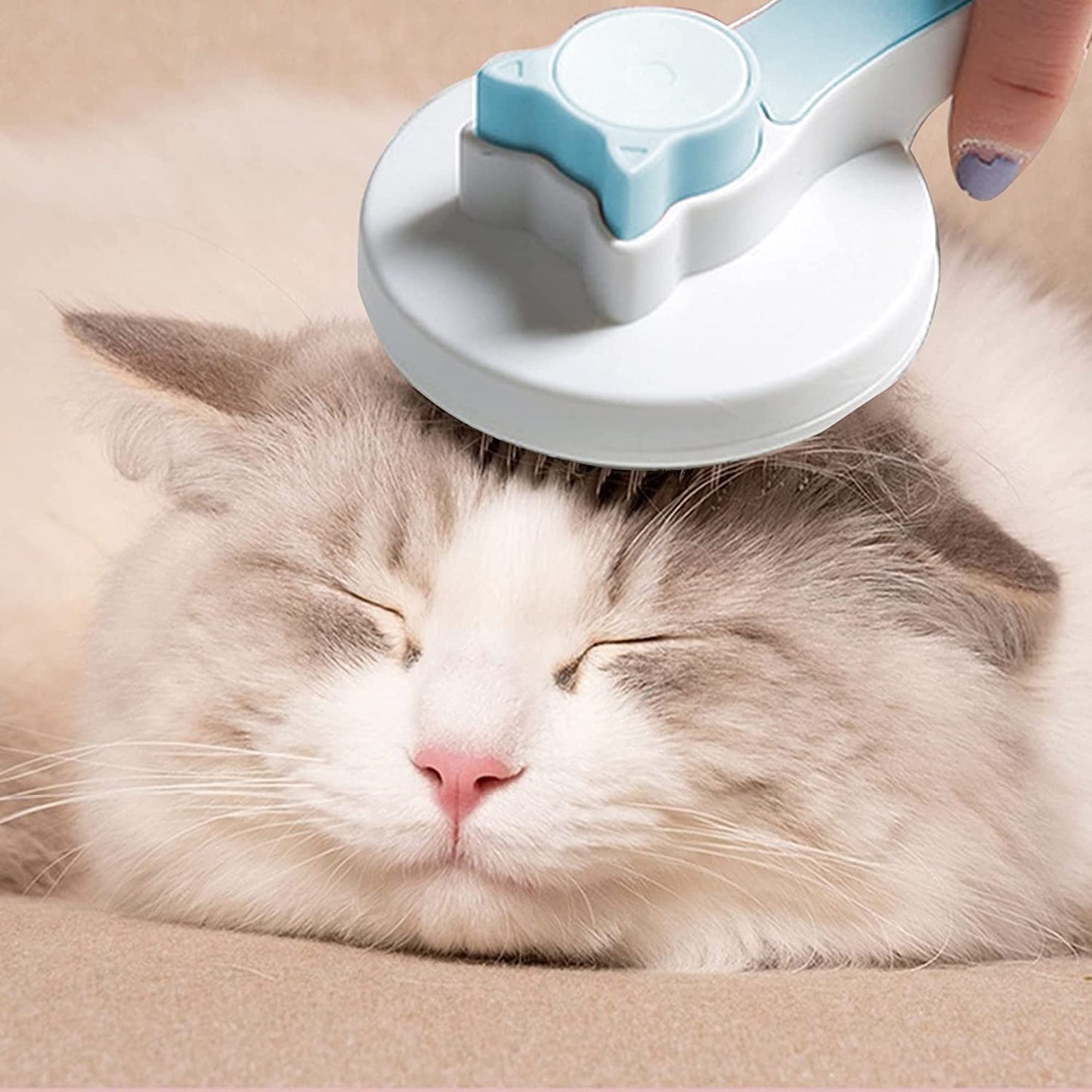 Pet Grooming Brush (Mix Colour)