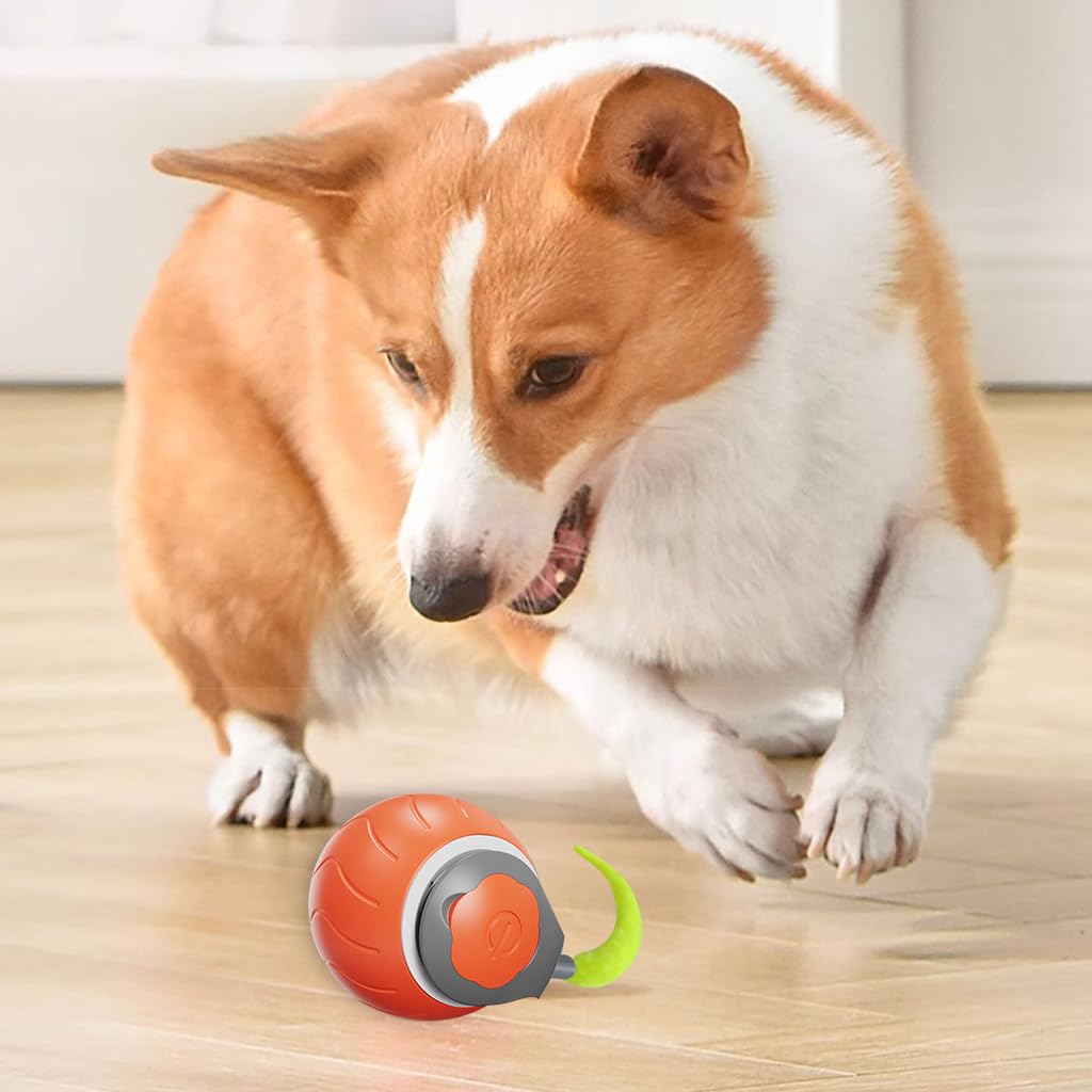 Intelligent Cat Teasing Ball