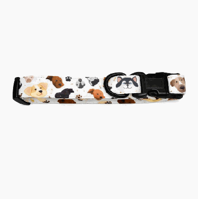 Dog Collar - Danna Pets product photo