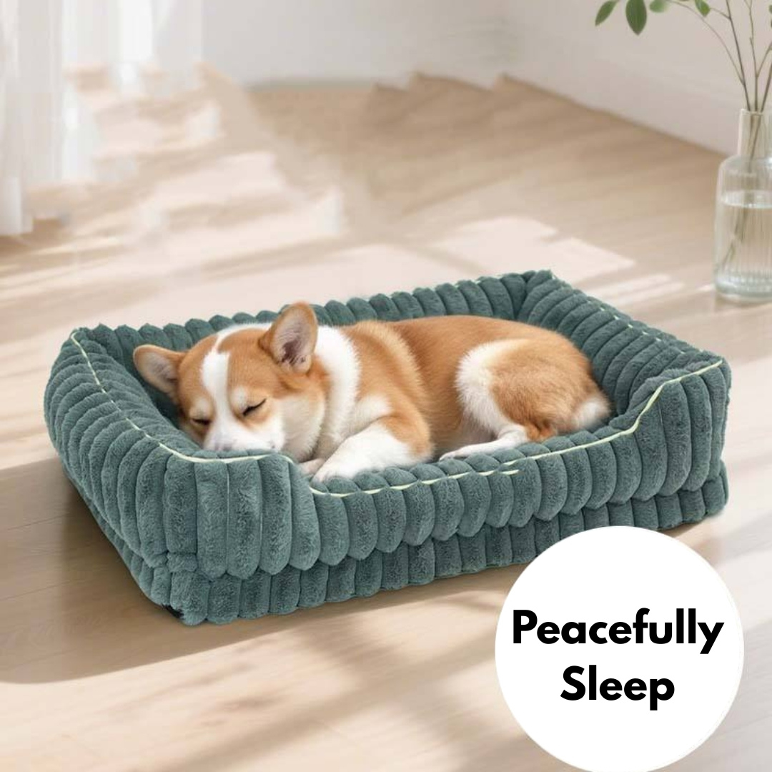 Pet  Beds