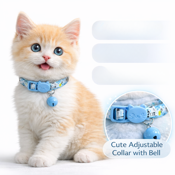 Harness, Leashes & Collars For Cats