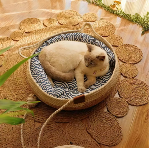 Cats