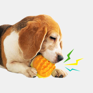Dog Chewing Ball