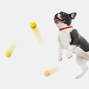 Dog Chewing Ball