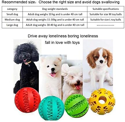 Dog Chewing Ball