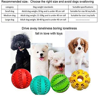 Dog Chewing Ball