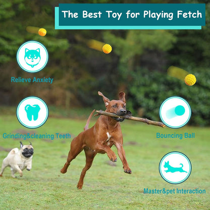 Dog Chewing Ball