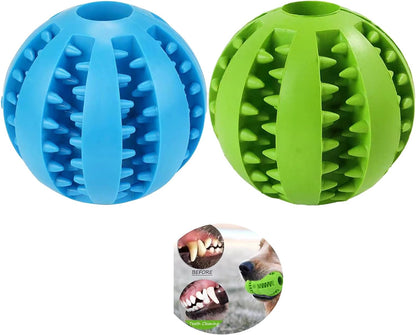 Dog Chewing Ball