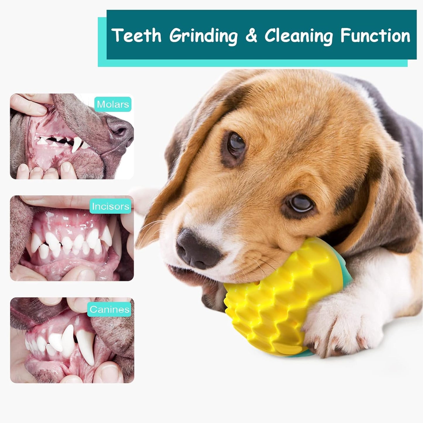 Dog Chewing Ball