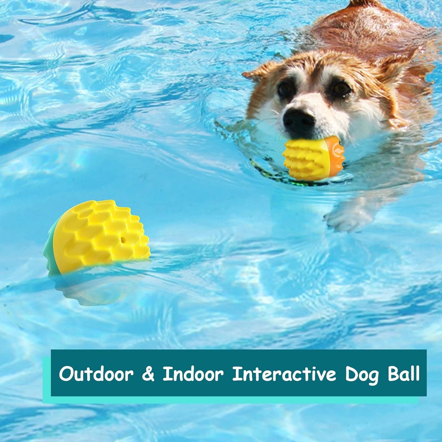 Dog Chewing Ball
