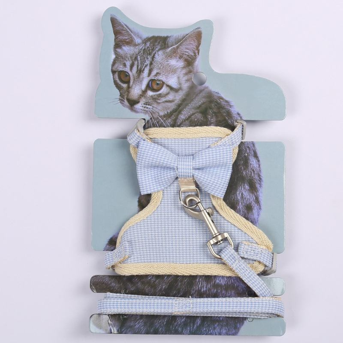 Harness with Leash