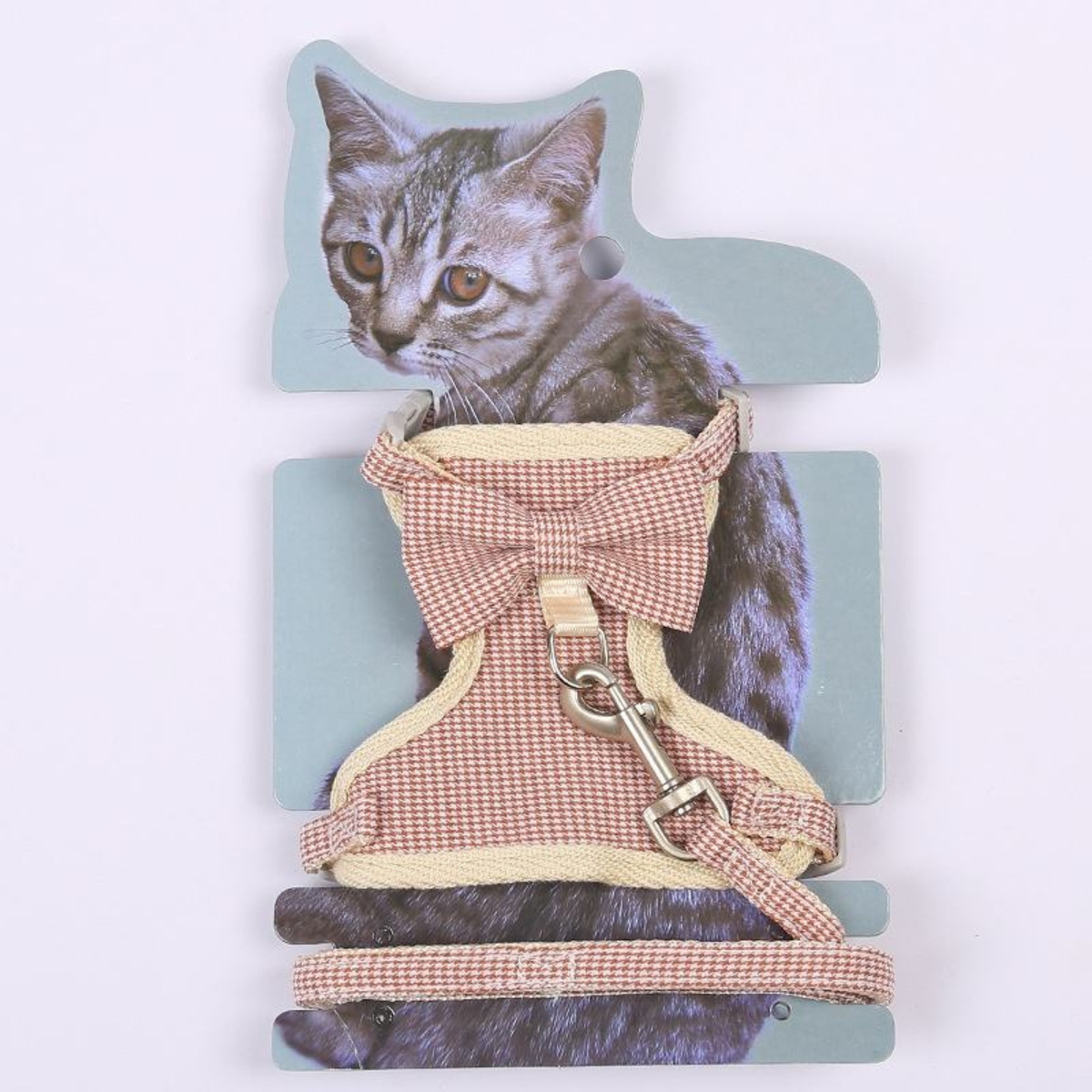 Harness with Leash