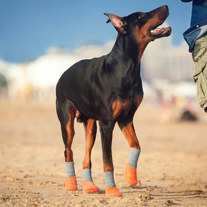 Silicone Dog Boots  – Waterproof and Non-Slip Protective Shoes for Dogs