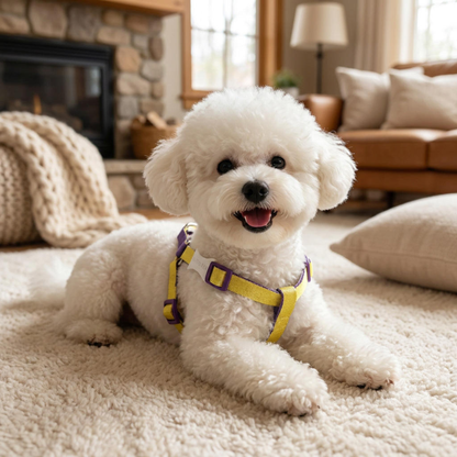 Dog Leash with Harness