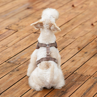 Dog Harness with Leash