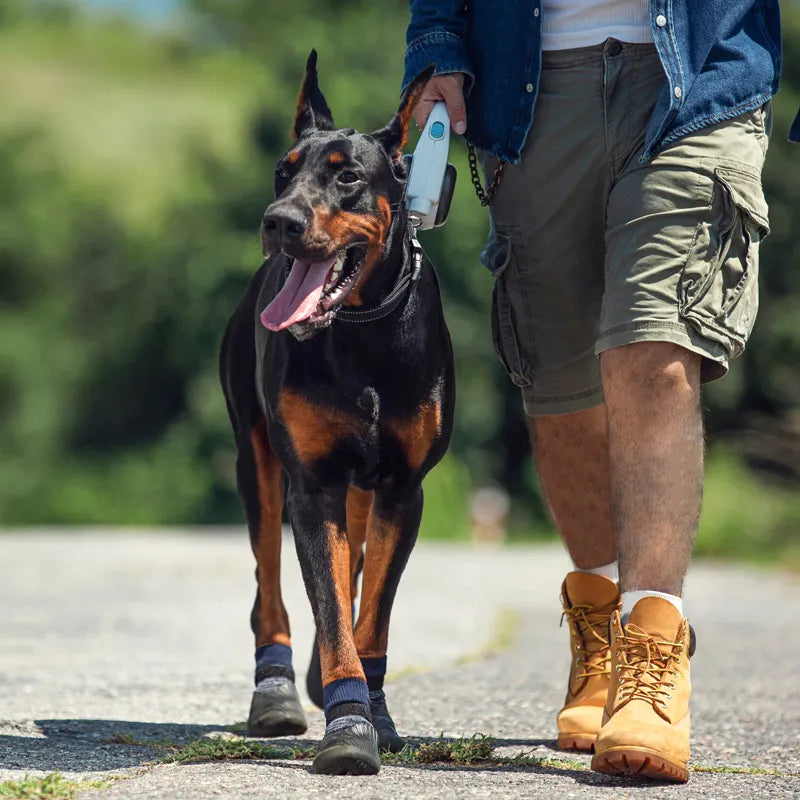 Silicone Dog Boots  – Waterproof and Non-Slip Protective Shoes for Dogs