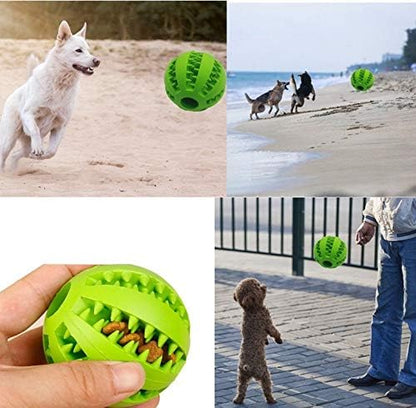 Dog Chewing Ball