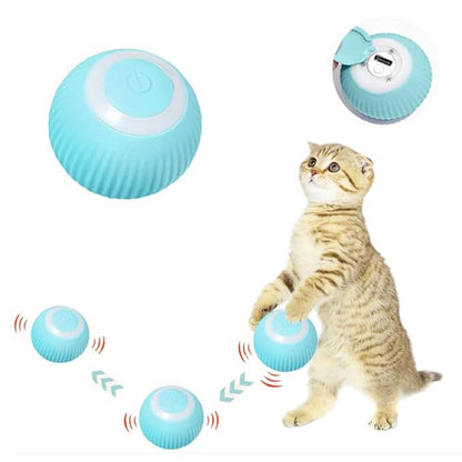 Cat Teaser Ball