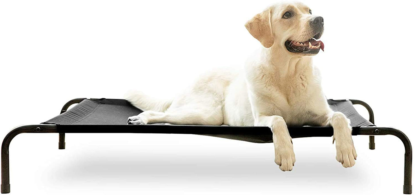 Metal Bed for Pets