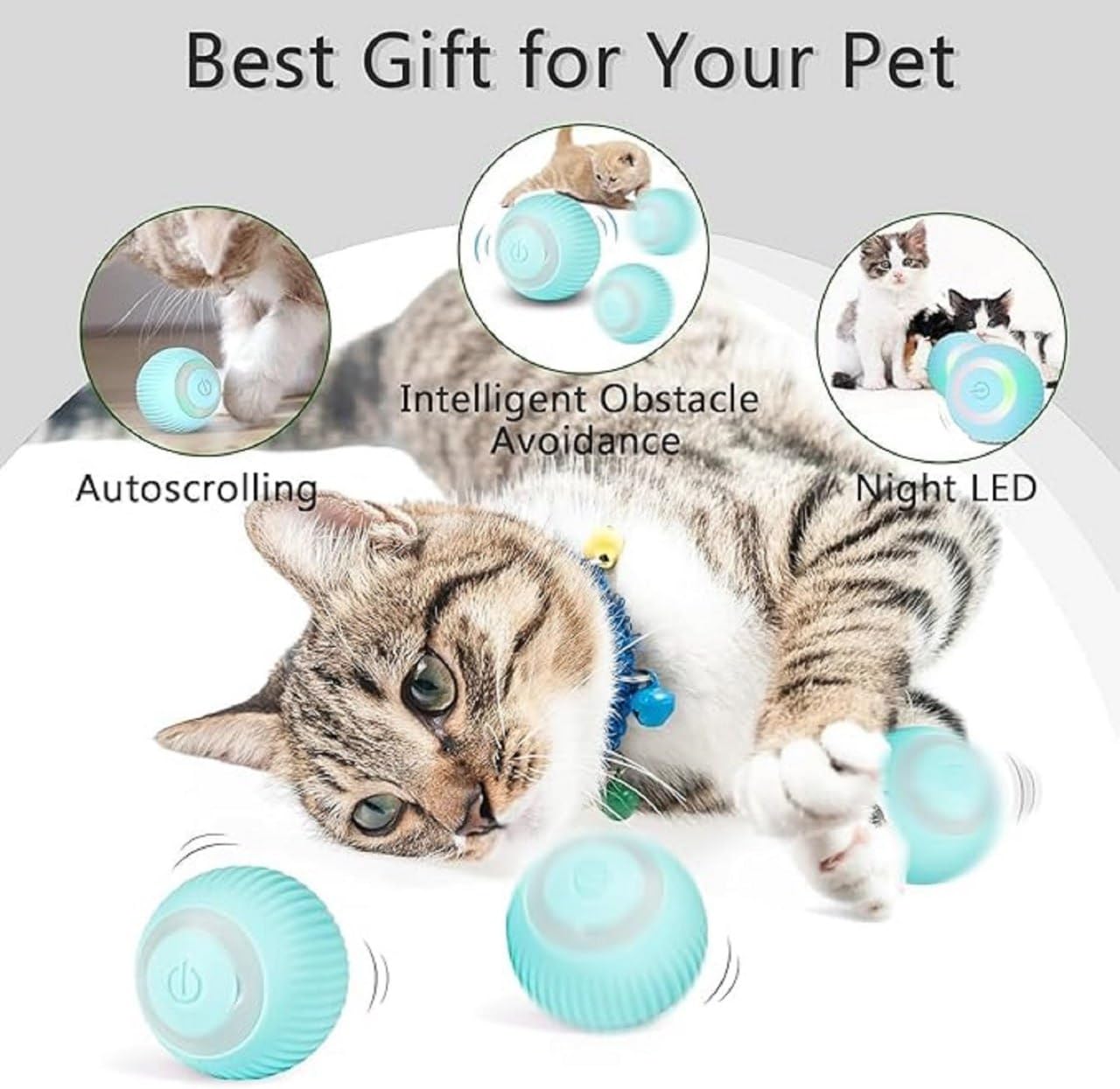 Cat Teaser Ball