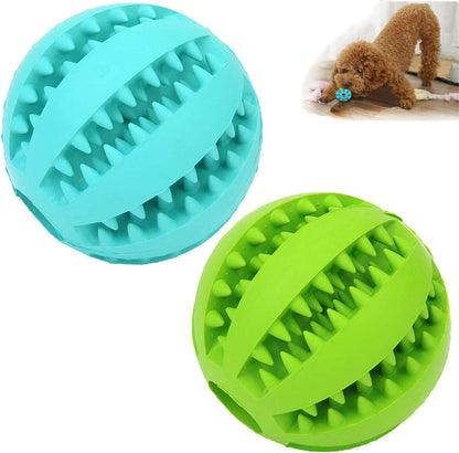 Dog Chewing Ball