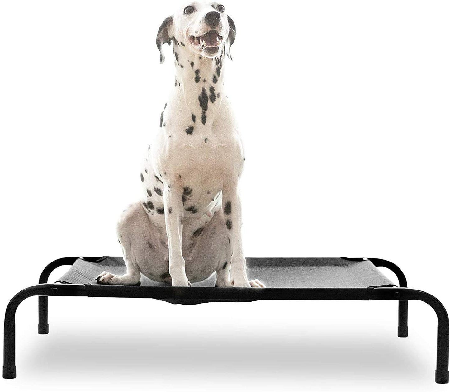 Metal Bed for Pets