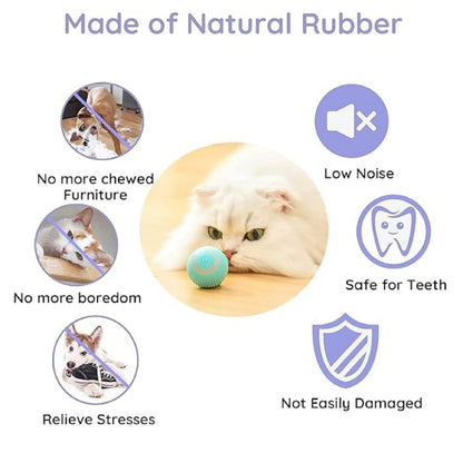 Cat Teaser Ball
