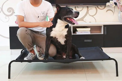 Metal Bed for Pets