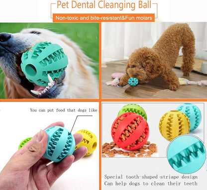 Dog Chewing Ball