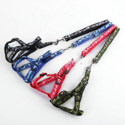 Leash Harness Combo