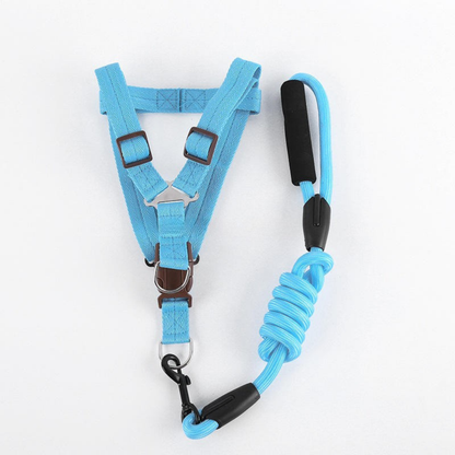 Leash Harness Combo
