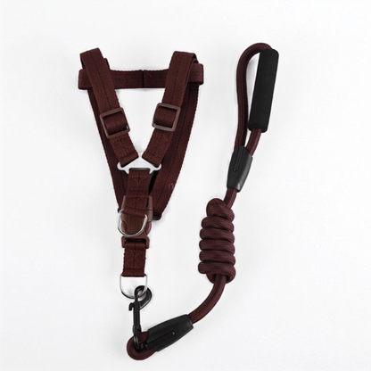 Leash Harness Combo