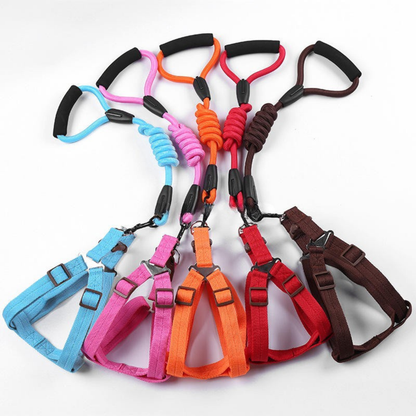 Leash Harness Combo