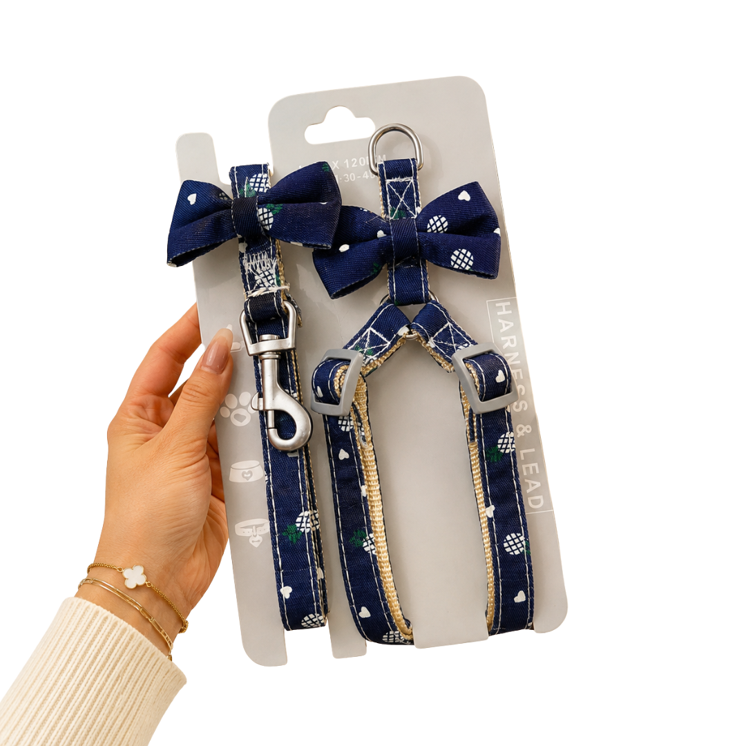 Adjustable Cat Leash with Harness set with cute bow tie for kittens and indoor cats