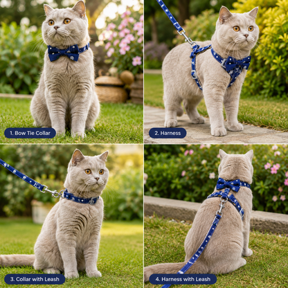 Show uses for Adjustable Cat Leash with Harness
 