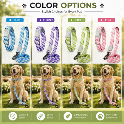 Showing Colours Options for Dog Collar and Leash