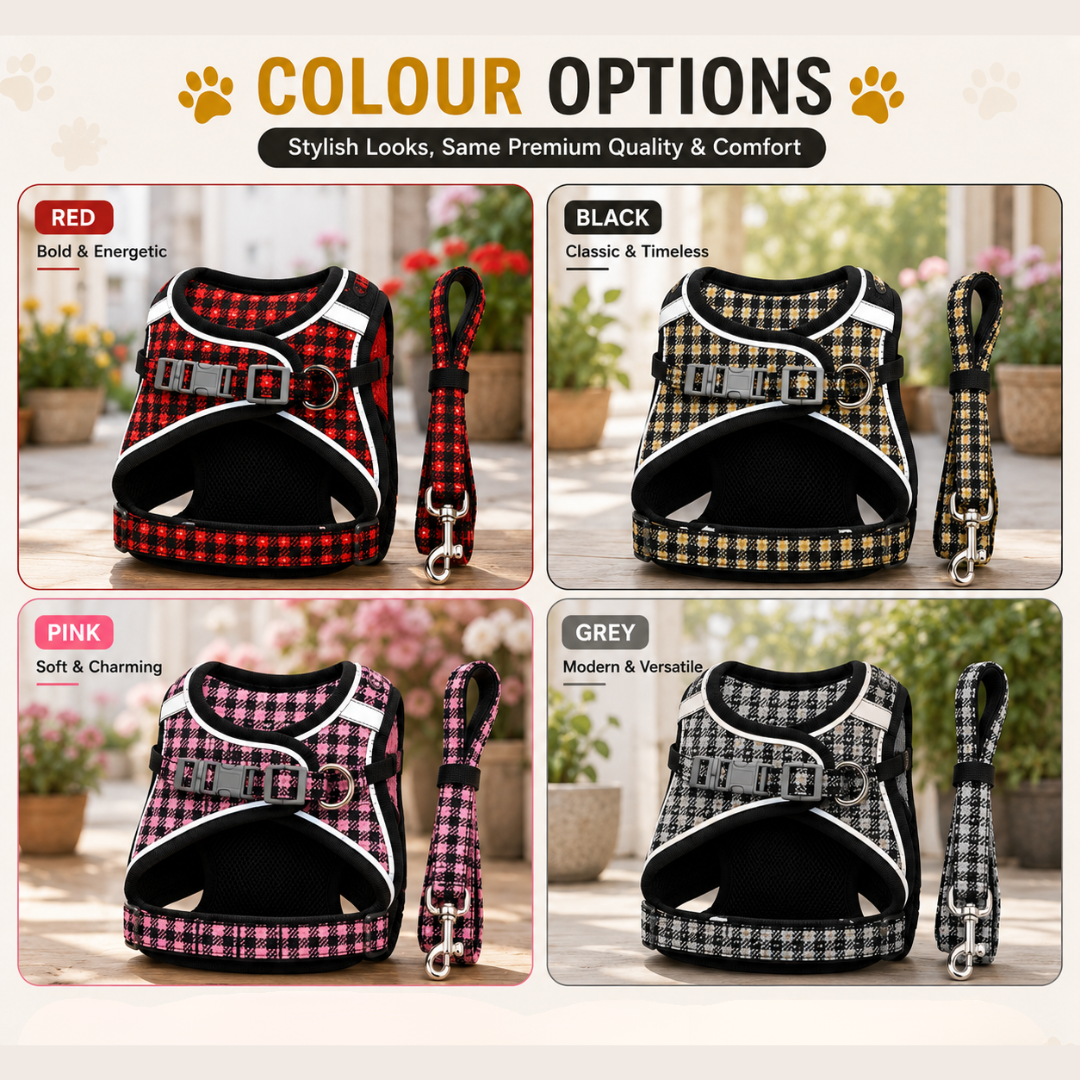 Colour Options for Dog Leash and Harness