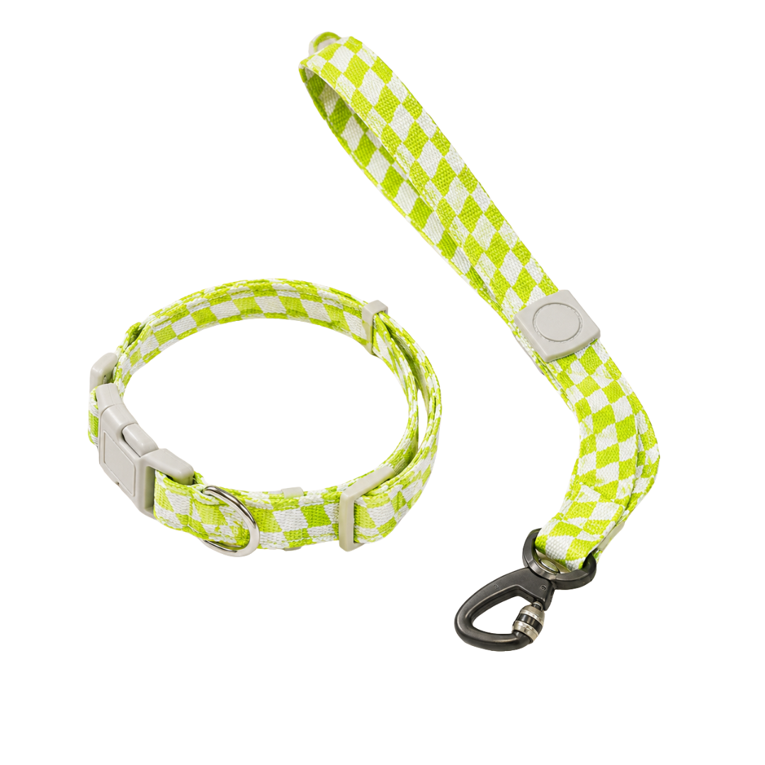 Dog Collar and Leash