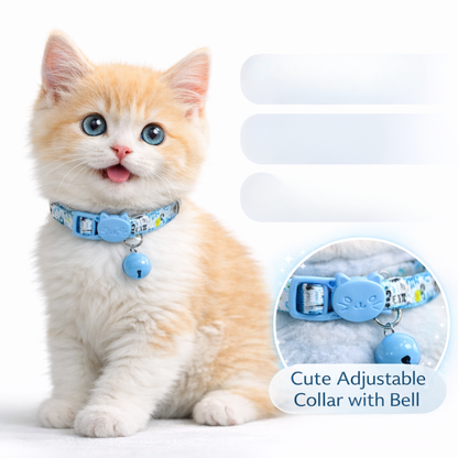 Showing Cute Kitten wear Adjustable Cat Collar with Bell