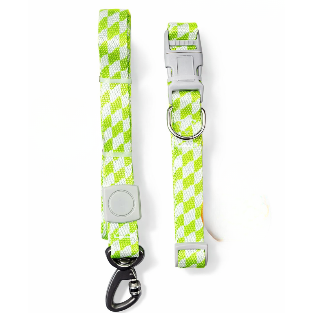 Dog Collar and Leash