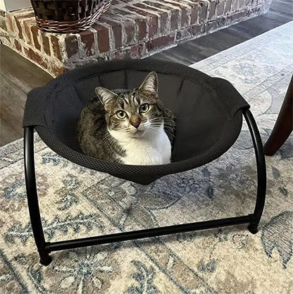 Premium Pet Bed (Portable)
