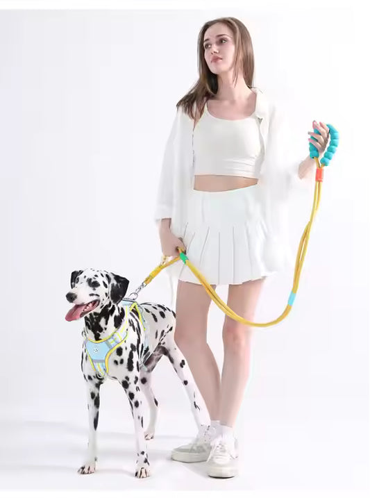 Dog Rope Leash for Aggressive Dogs – Strong & Secure