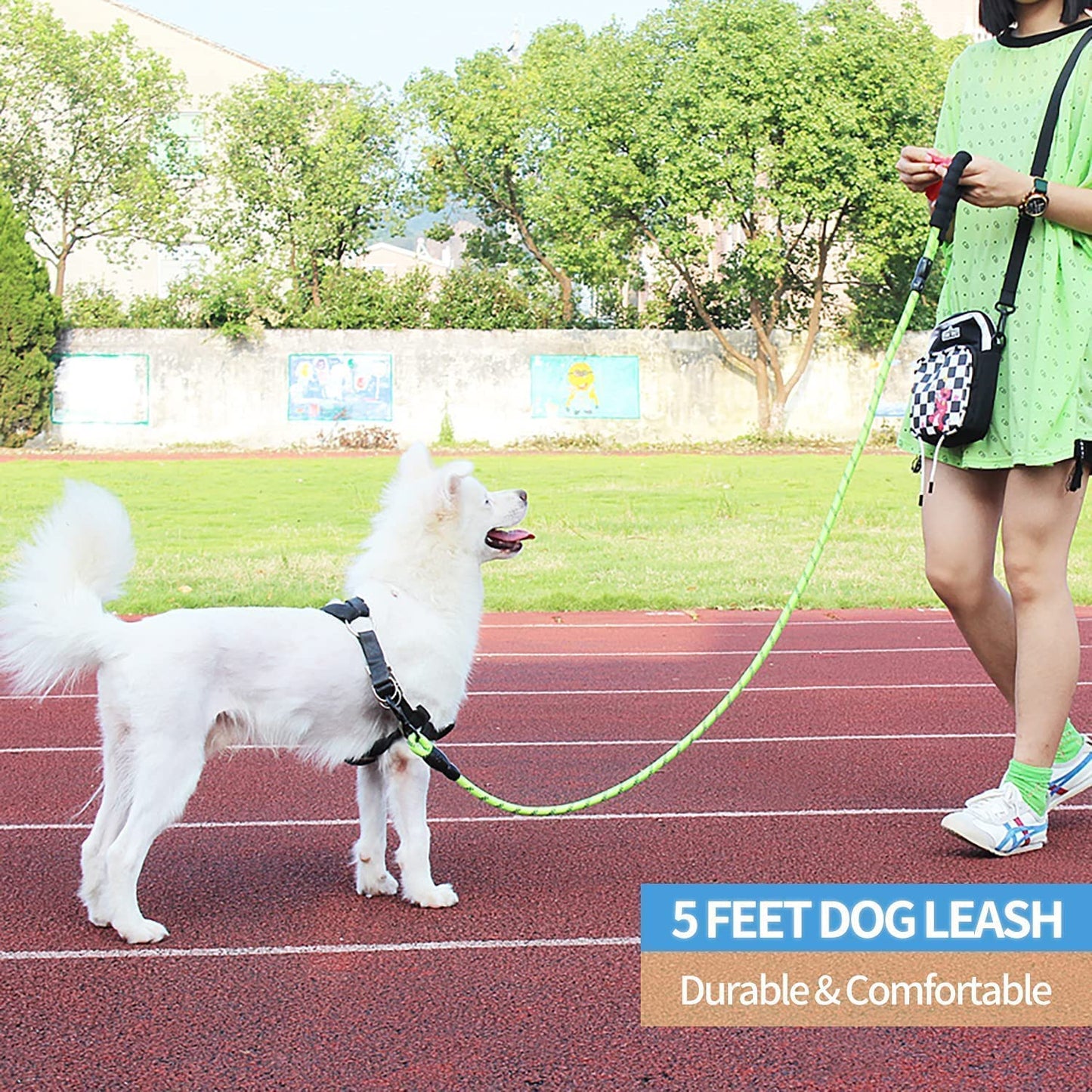 3M Reflective Leash for Dogs | Heavy Duty Dog Rope for Small to Large Dogs | Comfortable Padded Handle 5 Feet Dog Leash (Small - Suitable Upto (0-18KG), Black)