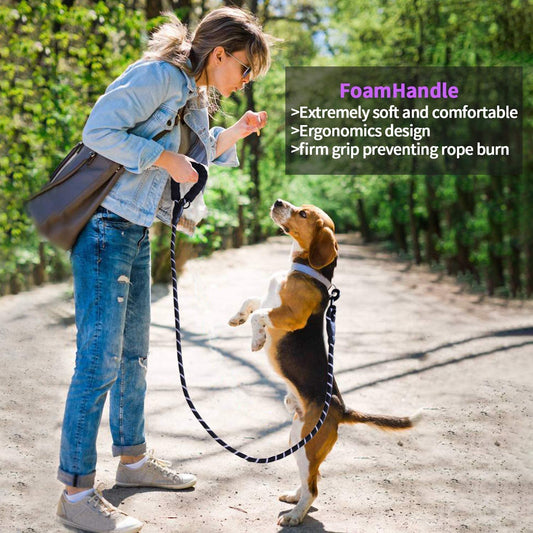 3M Reflective Leash for Dogs | Heavy Duty Dog Rope for Small to Large Dogs | Comfortable Padded Handle 5 Feet Dog Leash (Small - Suitable Upto (0-18KG), Black)