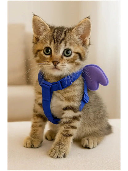 Cute Harness for Small Pet - kitten wearing blue butterfly wing harness
