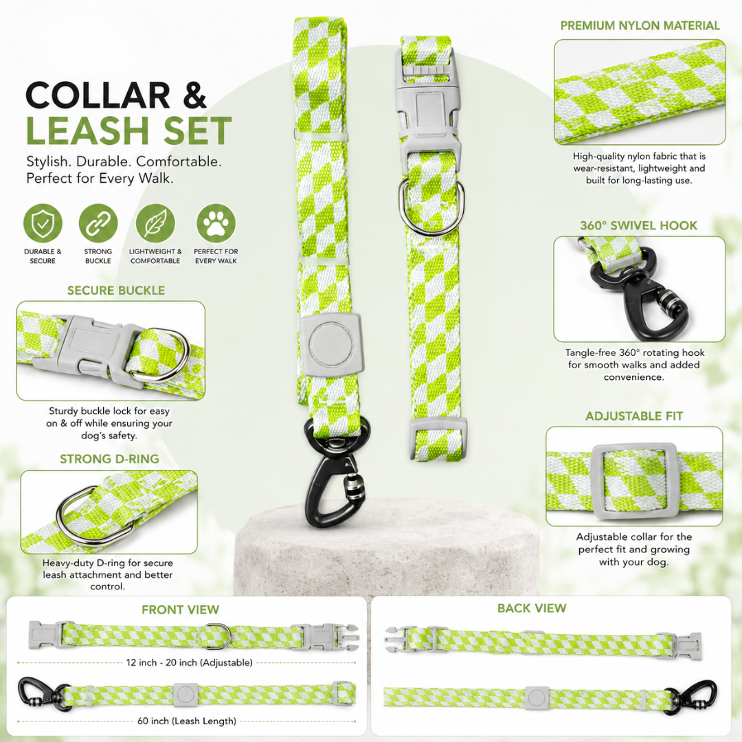 Showing Overview Dog Collar and Leash