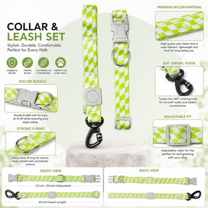 Showing Overview Dog Collar and Leash