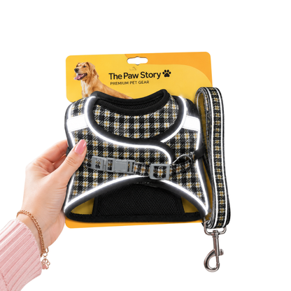 Dog Leash and Harness