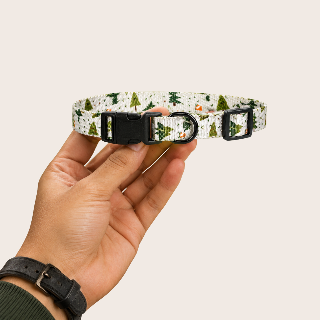 Dog Collar