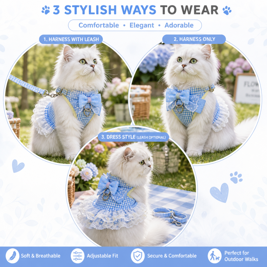 3 Ways to Wear Cat Harness Dress with Leash